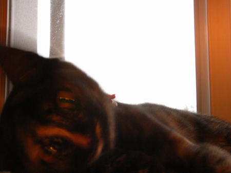 070911RIMG0009.jpg